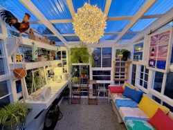 Tara's Greenhouse Lit Tara's Greenhouse Lit