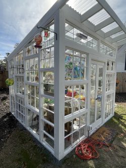 Greenhouse Painted and Decorated Greenhouse Painted and Decorated