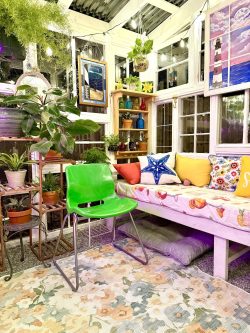 Tara's Comfy Greenhouse Tara's Comfy Greenhouse