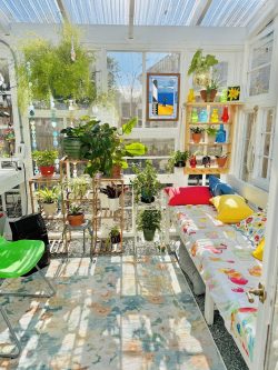 Tara's Decorated Greenhouse Tara's Decorated Greenhouse