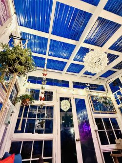 Tara's Greenhouse in Evening Tara's Greenhouse in Evening